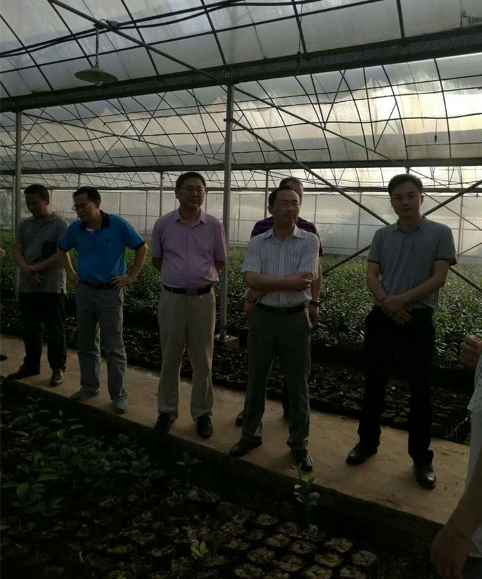 院長(zhǎng)李文輝在湖南宜章經(jīng)開(kāi)區(qū)及農(nóng)業(yè)科技園進(jìn)行調(diào)研