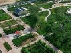 黃山：科技賦能茶產(chǎn)業(yè)發(fā)展 創(chuàng)新擦亮綠色品牌