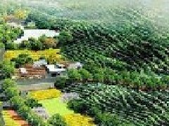 打造“零碳園區(qū)”？生態(tài)環(huán)境部公布第一批試點產(chǎn)業(yè)園區(qū)名單