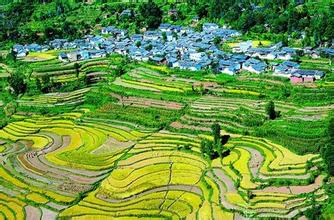 互聯(lián)網(wǎng)+時代下淘寶村發(fā)展與縣域經(jīng)濟關(guān)聯(lián)性研究