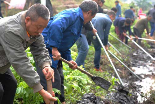  雙橋經(jīng)開區(qū)：開展常態(tài)化活動 共建美好家園