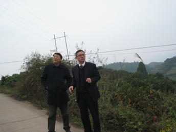 中國(guó)冰糖橙之鄉(xiāng) 麻陽(yáng)縣亟需產(chǎn)業(yè)融合發(fā)展