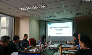 問診專家，繪制龍鄉銅梁鄉村振興新藍圖