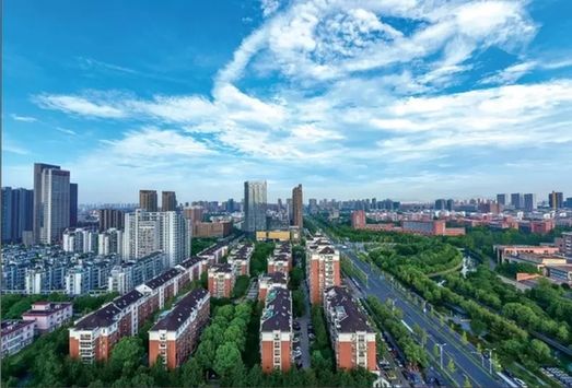 嘉興經開區大力推進“綠城花海”建設