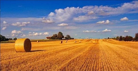 農(nóng)資企業(yè)如何在鄉(xiāng)村振興征程中發(fā)展壯大？