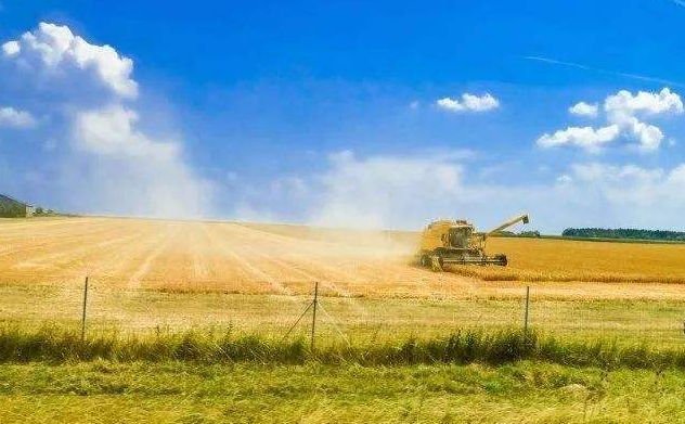 科技創(chuàng)新驅(qū)動鄉(xiāng)村振興 引導(dǎo)高校主動服務(wù)