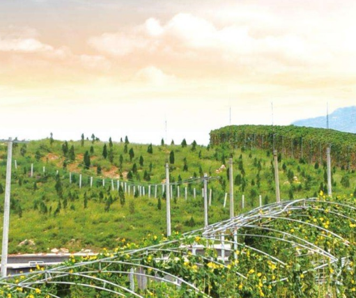 農(nóng)業(yè)農(nóng)村部辦公廳 財(cái)政部辦公廳關(guān)于開展國(guó)家現(xiàn)代農(nóng)業(yè)產(chǎn)業(yè)園創(chuàng)建績(jī)效評(píng)價(jià)和