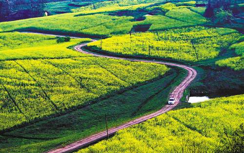 關(guān)于開展2019年國(guó)家現(xiàn)代農(nóng)業(yè)產(chǎn)業(yè)園創(chuàng)建工作的通知