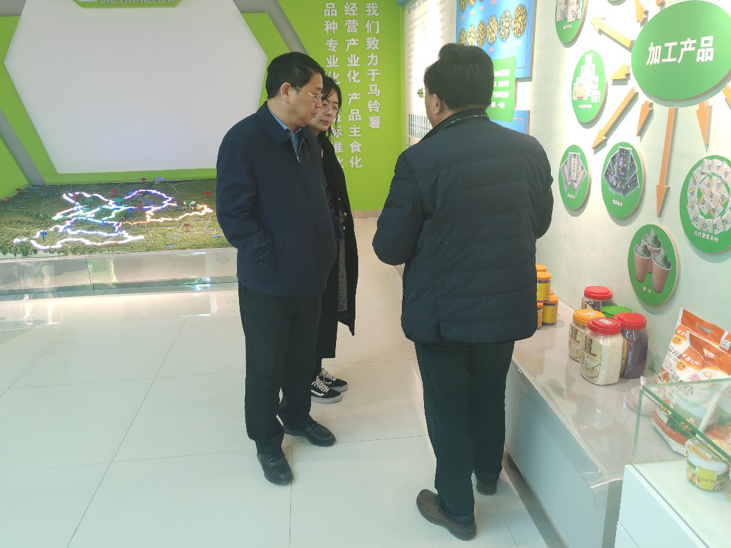 “中國薯都”再奏新旋律，定西市安定區開啟馬鈴薯產業發展新篇章