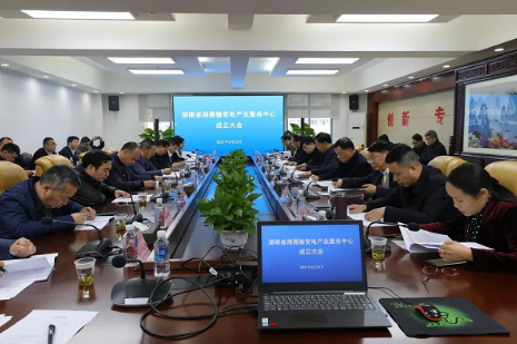 湘雁輸變電產(chǎn)業(yè)服務(wù)中心在長(zhǎng)沙成立，湖南輸變電產(chǎn)業(yè)開(kāi)啟發(fā)展新篇章