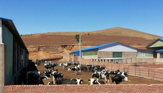 科右前旗農(nóng)業(yè)現(xiàn)代化示范區(qū)創(chuàng)建按下“加速鍵”，吹響“集結(jié)號(hào)”